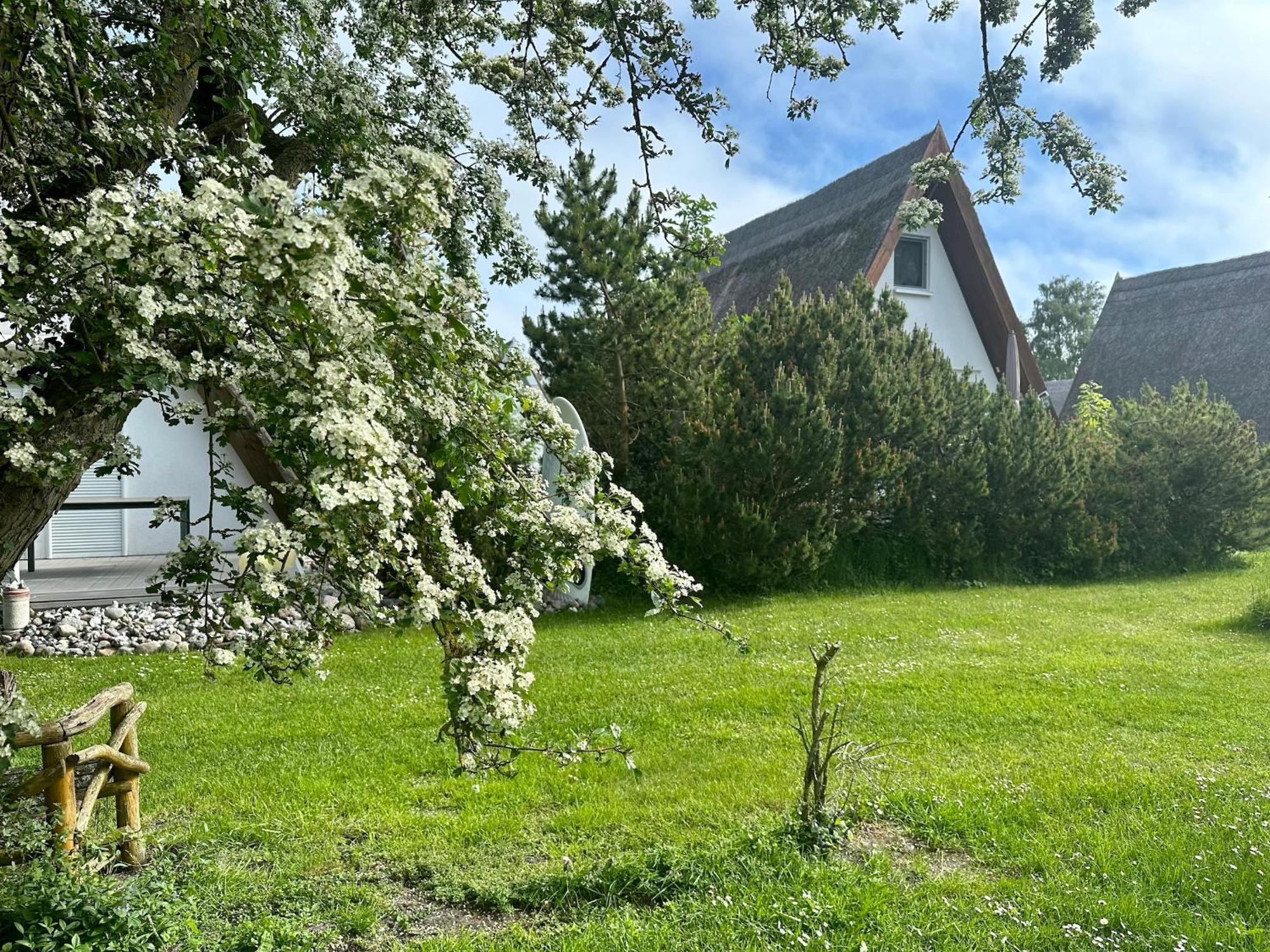 Finnhuette Nr.42 Auf Moenchgut Gager Zewnętrze zdjęcie